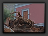 symi_2010_a002