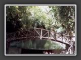 2_rodini