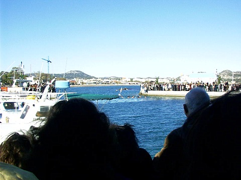 {short description of image}